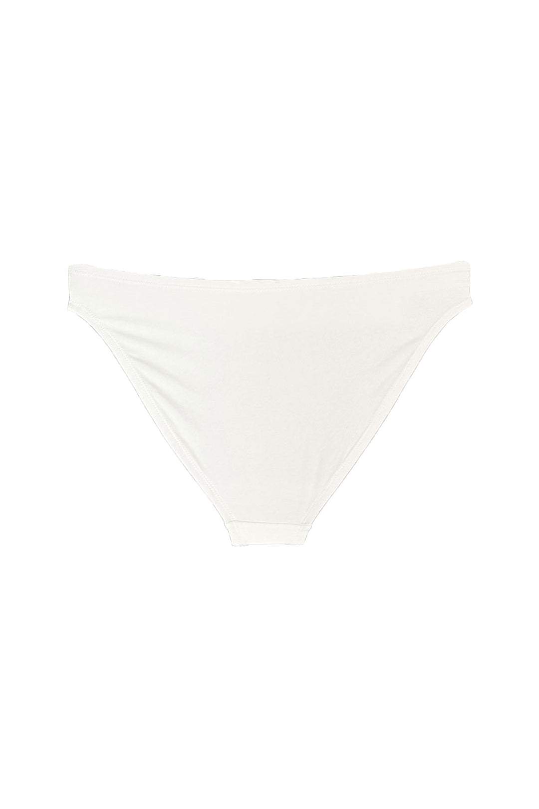 flat lay of back view of bikini brief