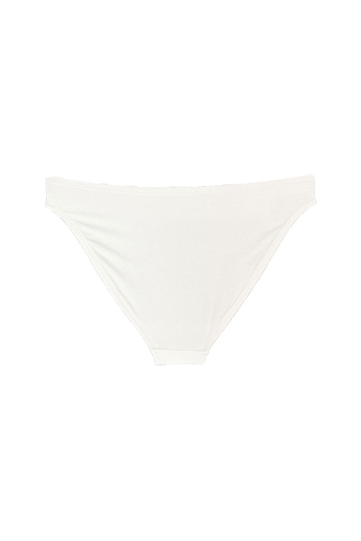 flat lay of back view of bikini brief