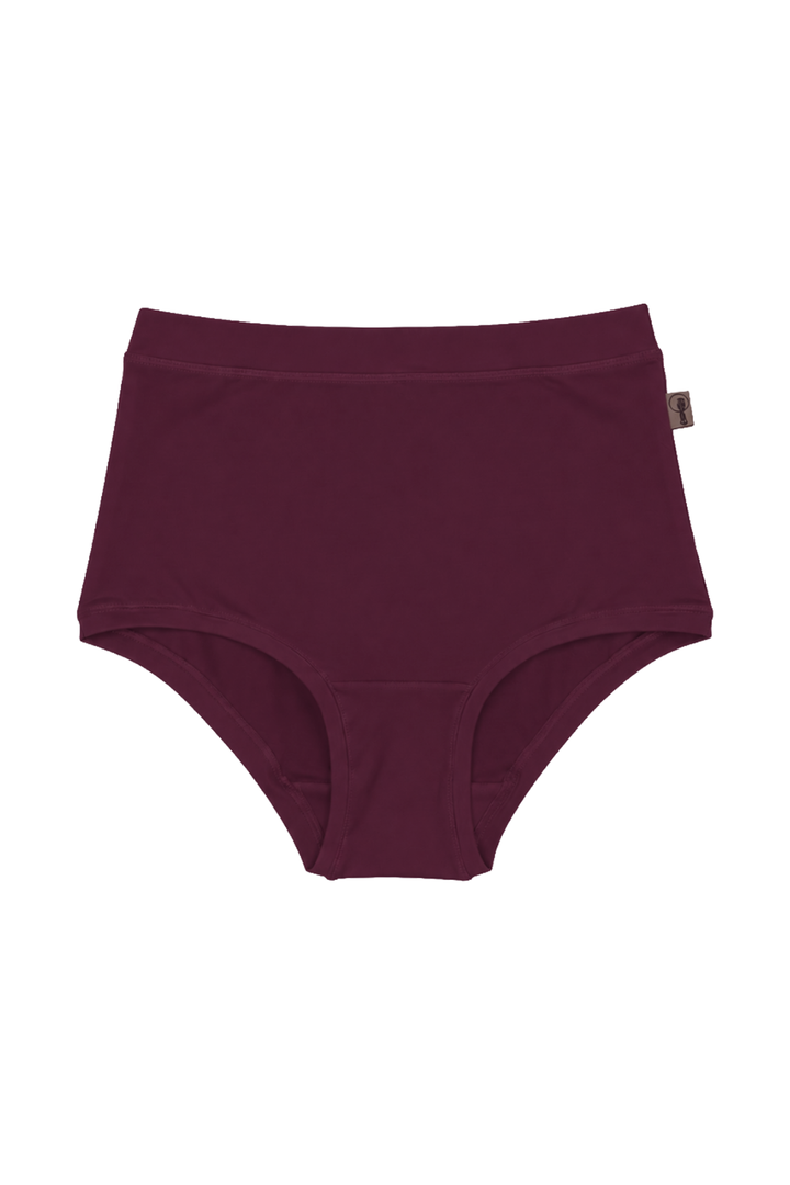 Full briefs in plum in organic cotton with elastane